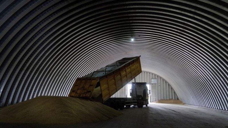 В МИД назвали продление зерновой сделки "холодным душем" для США и ЕС