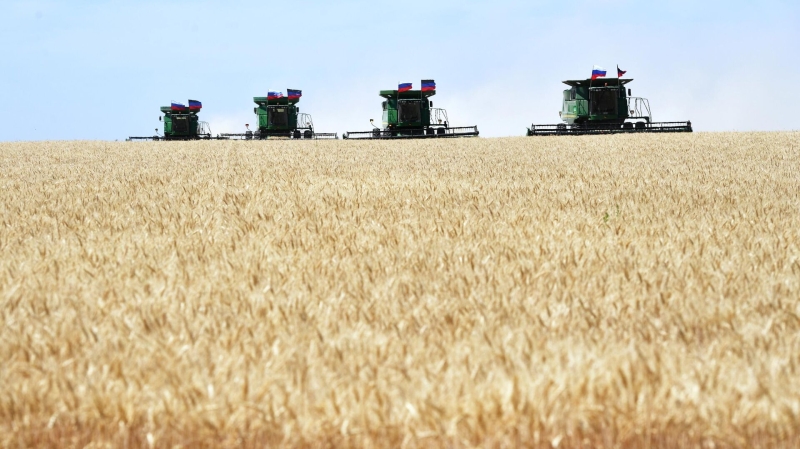 Глава фирмы в ДНР рассказал о влиянии льгот на сельхозпроизводителей